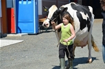 Holstein 069