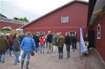 Svensk Holstein stämma Tanum 2014 012