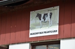 Svensk Holstein stämma Tanum 2014 052